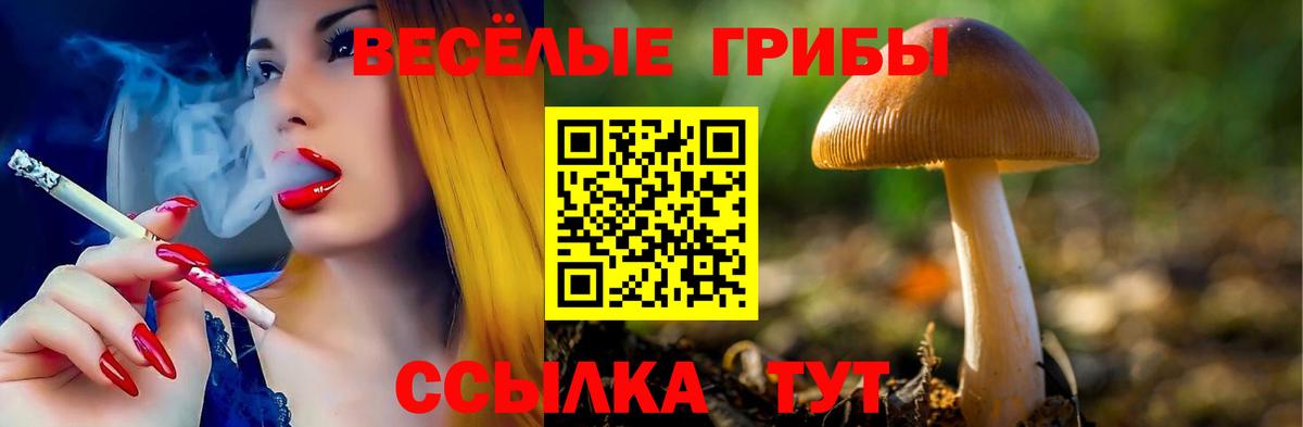 Псилоцибиновые грибы Psilocybine cubensis  где можно купить   Карачаевск  Галлюциногенные грибы Psilocybine cubensis  Вход с VPN 